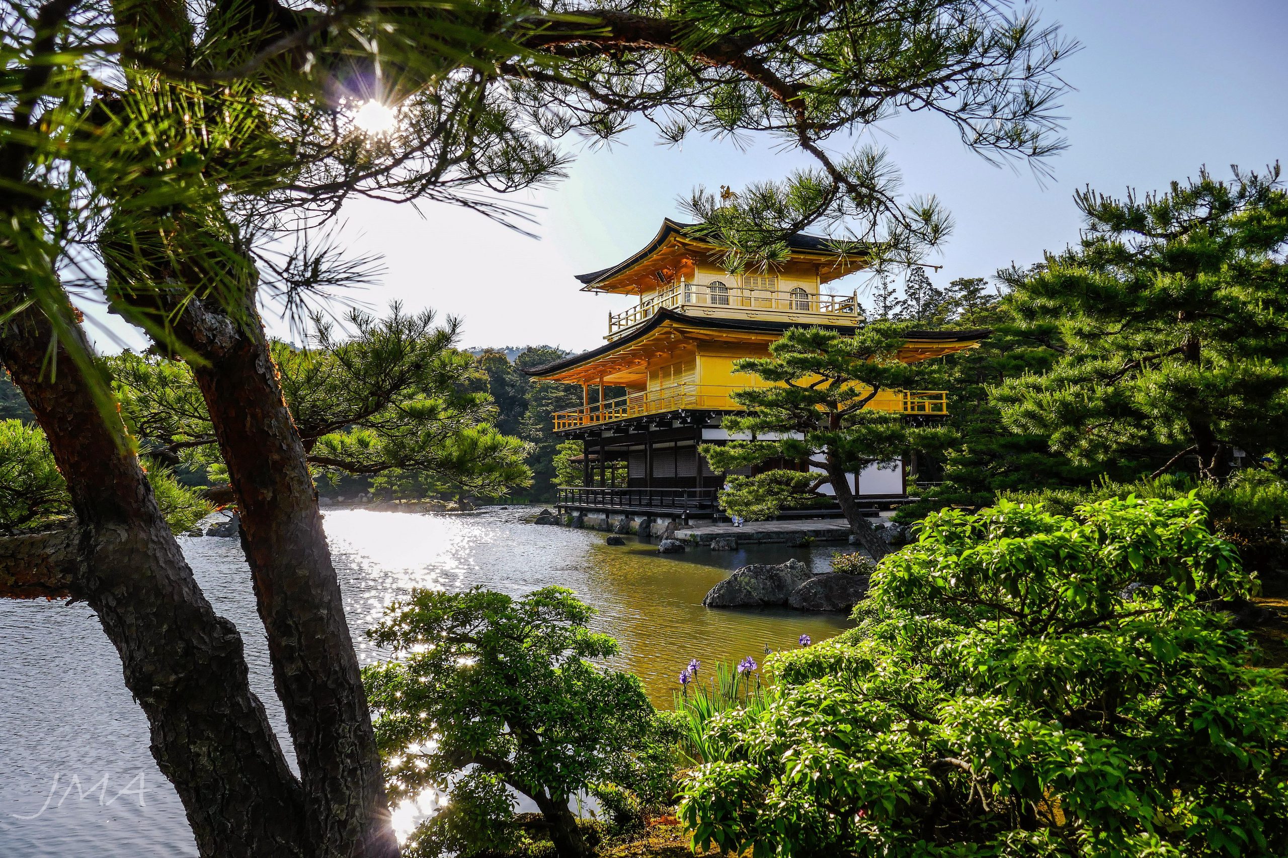 The Golden and Silver Pavilions of Kyoto - just moving around just