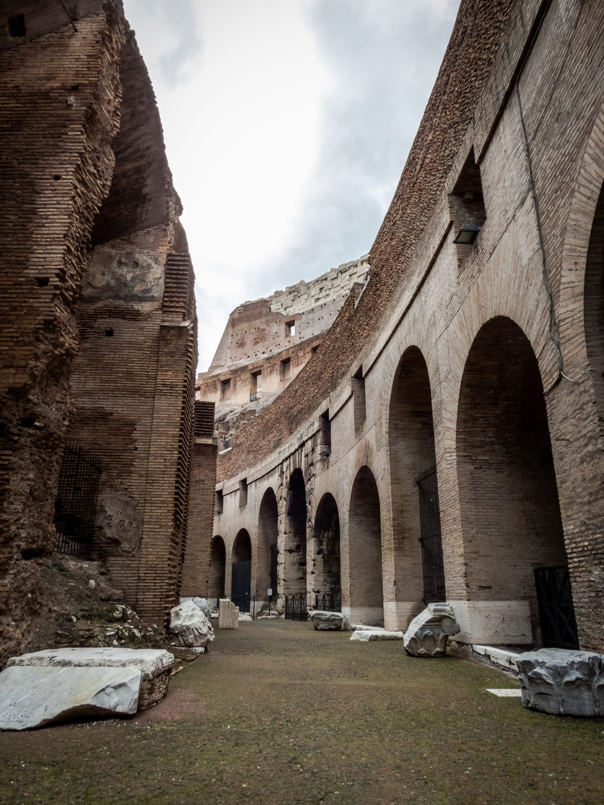 ROME COLOSSEUM Photo Gallery just moving around